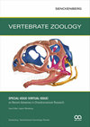 Vertebrate Zoology雜志封面